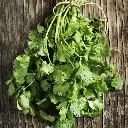 Coriander 'Slow Bolting' Seeds