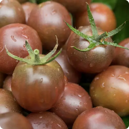Tomato 'Cherry Brown' Seeds